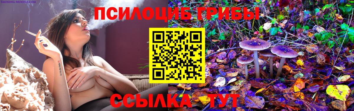 Галлюциногенные грибы GOLDEN TEACHER Дзержинск