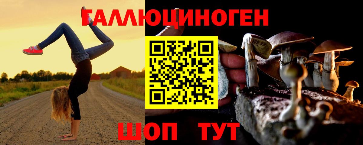 Дзержинск  Галлюциногенные грибы MAGIC MUSHROOMS  Вход с VPN  Псилоцибиновые грибы Magic Shrooms 